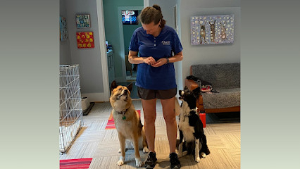 Dog day care in Arlington Virginia WOOFS Dog Training Center 1