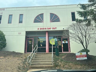 Dog day care in Ashburn Virginia A Dog s Day Out 1