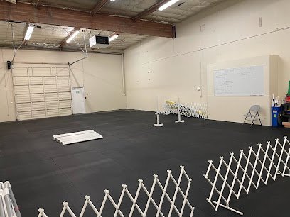 Dog day care in Auburn Washington Gold Star Dog School 1