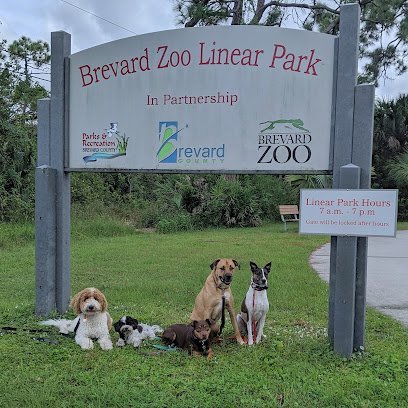 Dog day care in Auburn Washington MINDFUL ADVENTURE DOG ACADEMY LLC 1