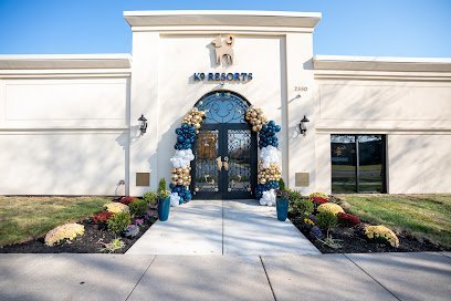 Dog day care in Audubon Pennsylvania K9 Resorts Luxury Pet Hotel Audubon 1