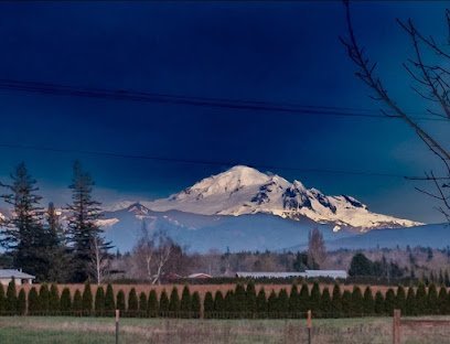 Dog day care in Bellingham Washington Littleton Ranch LLC 1