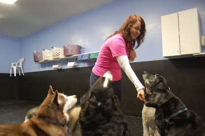 Dog day care in Bellingham Washington Tails A Wagging Doggie daycare canine training center 1