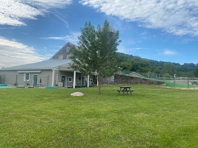 Dog day care in Birdsboro Pennsylvania Ridgewood Canine Camp 1