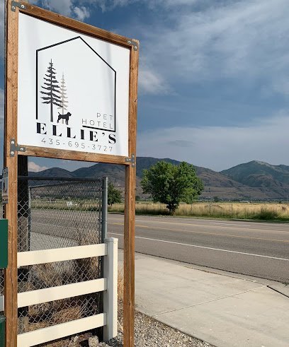 Dog day care in Brigham City Utah Ellie s Pet Hotel Brigham City 1