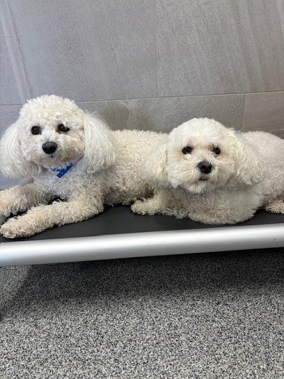 Dog day care in Brookfield Wisconsin K9 Resorts Luxury Pet Hotel Brookfield 1