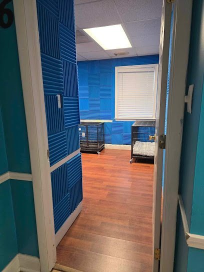 Dog day care in Brookhaven Pennsylvania Aloha Doggy Daycare 1