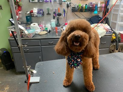 Dog day care in Buffalo West Virginia Compass K 9 1