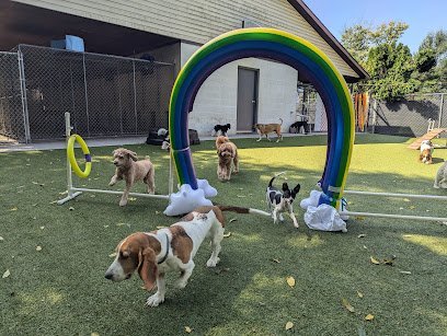 Dog day care in Carlisle Pennsylvania Animal Inn 1