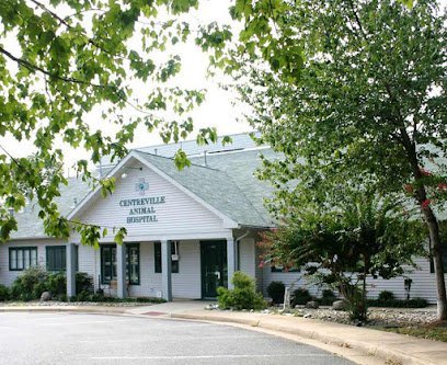 Dog day care in Centreville Virginia VCA Centreville Animal Hospital 1