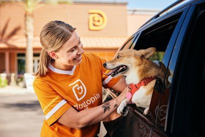 Dog day care in Chantilly Virginia Dogtopia of Dulles 1