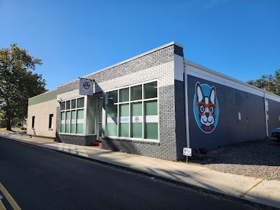 Dog day care in Charleston South Carolina Dog Tired Pet Services Charleston SC 1