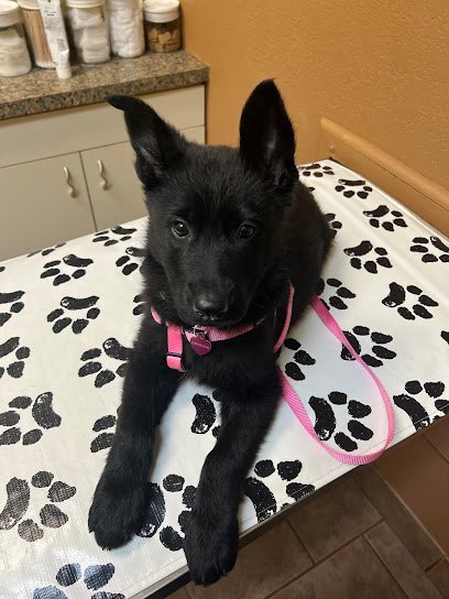 Dog day care in Cheyenne Wyoming ZHaus Kennels 1