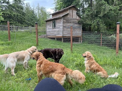 Dog day care in Clinton Washington Whidbey Island Pet Resort 1