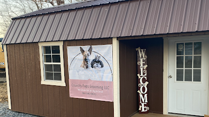 Dog day care in Coalton West Virginia Country Pups Grooming LLC 1