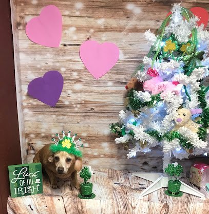 Dog day care in Conway South Carolina Fur Babys Dog Salon And Retreat LLC 1