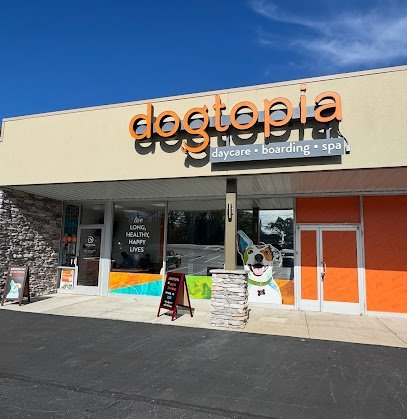 Dog day care in Coraopolis Pennsylvania Dogtopia of Moon Township 1