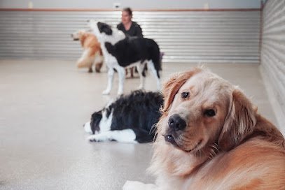 Dog day care in Dallastown Pennsylvania Tail Country Pet Resort 1