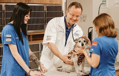 Dog day care in Danville Virginia Danville Family Vet   Walk Ins Welcome 1