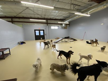 Dog day care in De Pere Wisconsin Tailwaggers Doggy Daycare 1