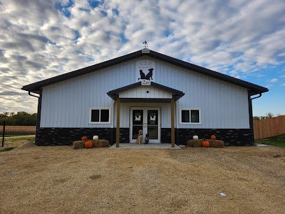 Dog day care in Deerfield Wisconsin Very Important Pets 1