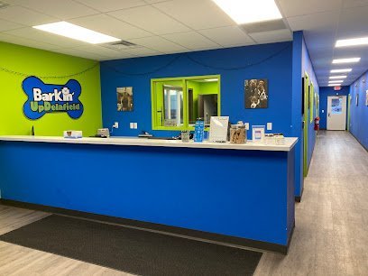 Dog day care in Delafield Wisconsin Barkin  Up Delafield 1