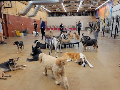 Dog day care in Draper Utah K9 Lifeline 1