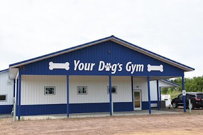 Dog day care in Eau Claire Wisconsin Your Dog s Gym 1