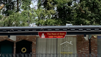 Dog day care in Edmonds Washington The Haus of Dogs 1