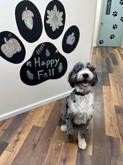 Dog day care in Edwardsville Pennsylvania Pawscape Suites LLC 1