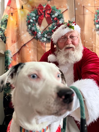 Dog day care in Erie Pennsylvania The Crate Escape 1