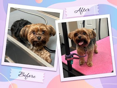 Dog day care in Everett Washington TAILored Pet Services LLC and Four Legged Fun Zone 1