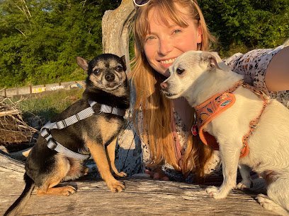 Dog day care in Everett Washington Vacation Pet Care LLC 1