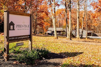 Dog day care in Evington Virginia Prestige Kennel Pet Services 🐾 1