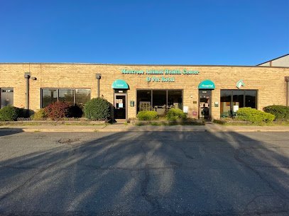 Dog day care in Fairfax Virginia Montrose Pet Hotel 1