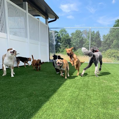 Dog day care in Fairfield Pennsylvania Golden Wood Fairfield 1