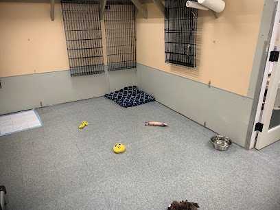 Dog day care in Federal Way Washington Biscuits Pet Place 1