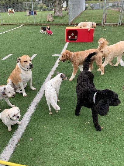 Dog day care in Fond du Lac Wisconsin Peebles Play Stay Kennel LLC 1