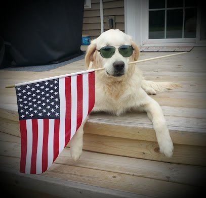 Dog day care in Fond du Lac Wisconsin Tails for Life Inc 1