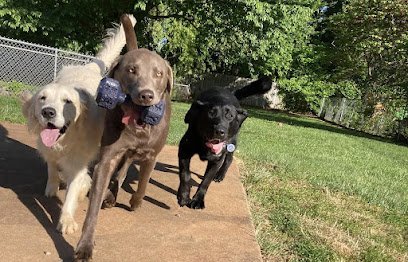 Dog day care in Forest Virginia Lake Forest Boarding Grooming 1