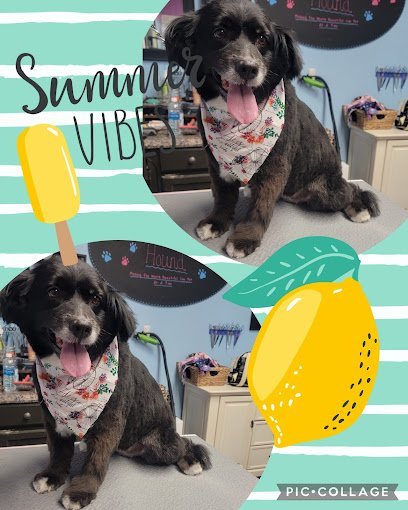 Dog day care in Fredericksburg Virginia Handsome Hound Pet Grooming 1