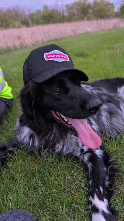 Dog day care in Germantown Wisconsin Happy Hounds LLC 1