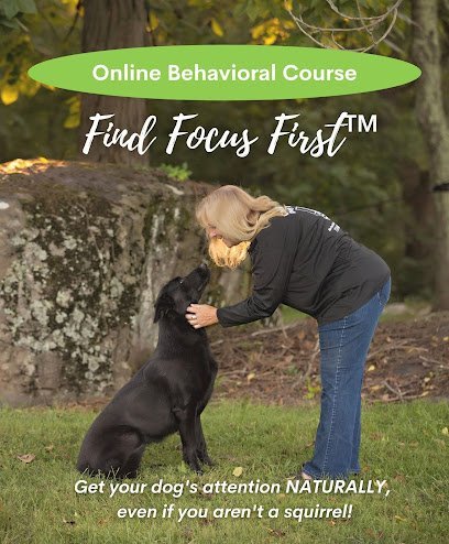 Dog day care in Gettysburg Pennsylvania Cold Creek Dog Training 1