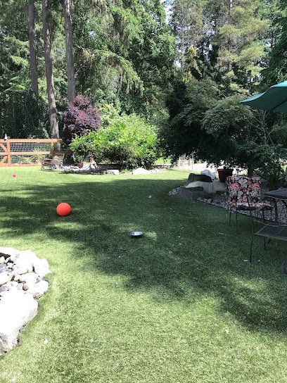 Dog day care in Gig Harbor Washington Gig Harbor Kennel Groom Board 1