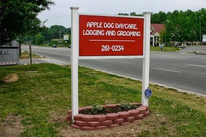Dog day care in Glen Allen Virginia Apple Dog Daycare Lodging Grooming Training 1