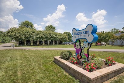Dog day care in Glen Allen Virginia Holiday Barn Pet Resorts 1
