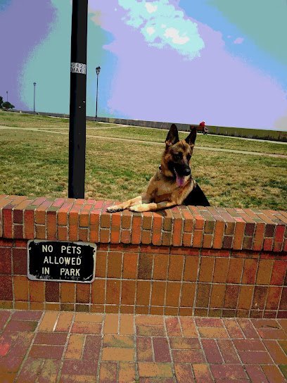 Dog day care in Hampton Virginia Red Letter Runners 1