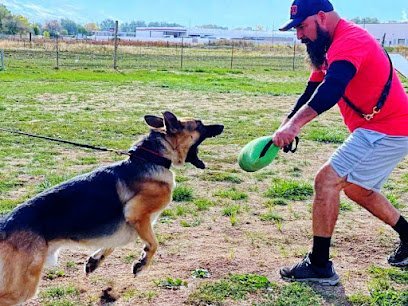Dog day care in Harrisville Utah Harrisville Working Dogs 1