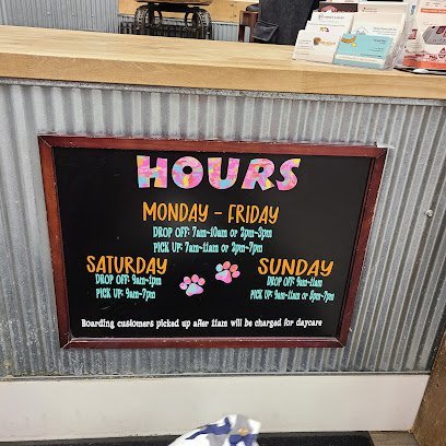 Dog day care in Hatfield Pennsylvania Dog Town 1