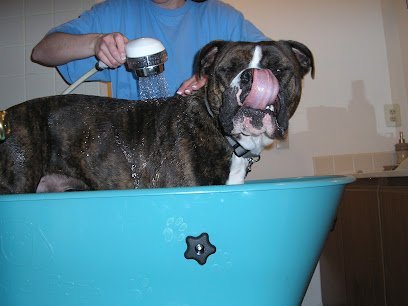 Dog day care in Hatfield Pennsylvania Tender Loving Pet Care 1